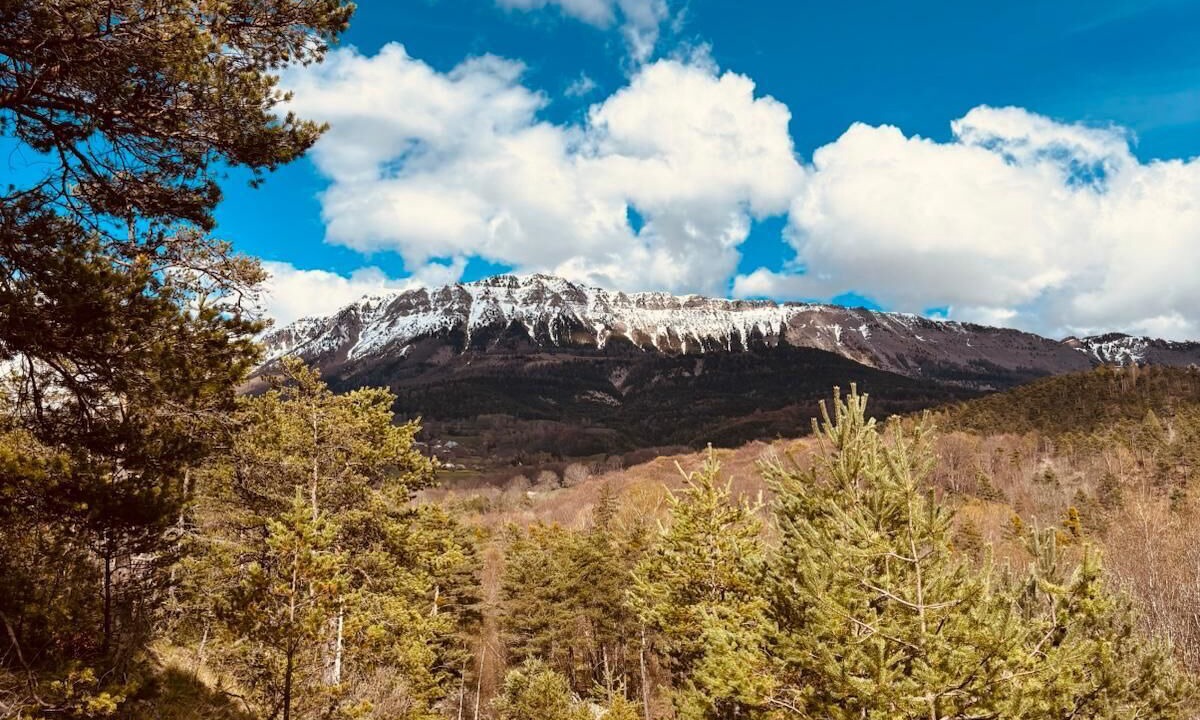 Photo of Outdoor in Montclar