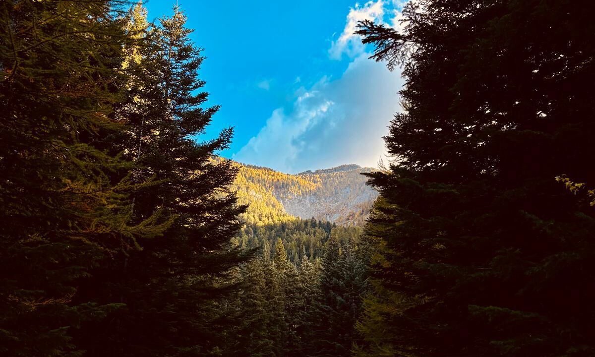 Photo of Outdoor in Montclar