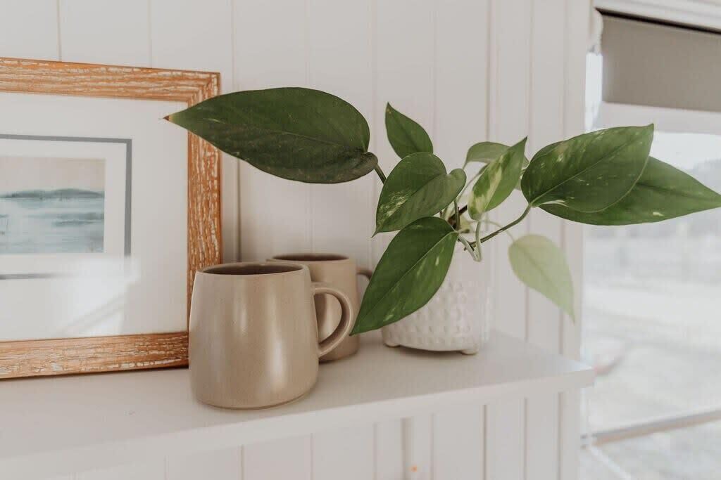 Photo of Others in Cooroibah