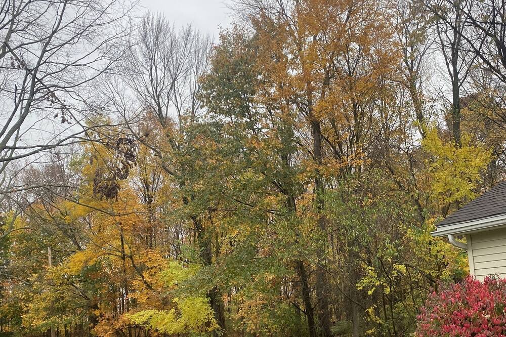 Photo of Outdoor in Wolcottville