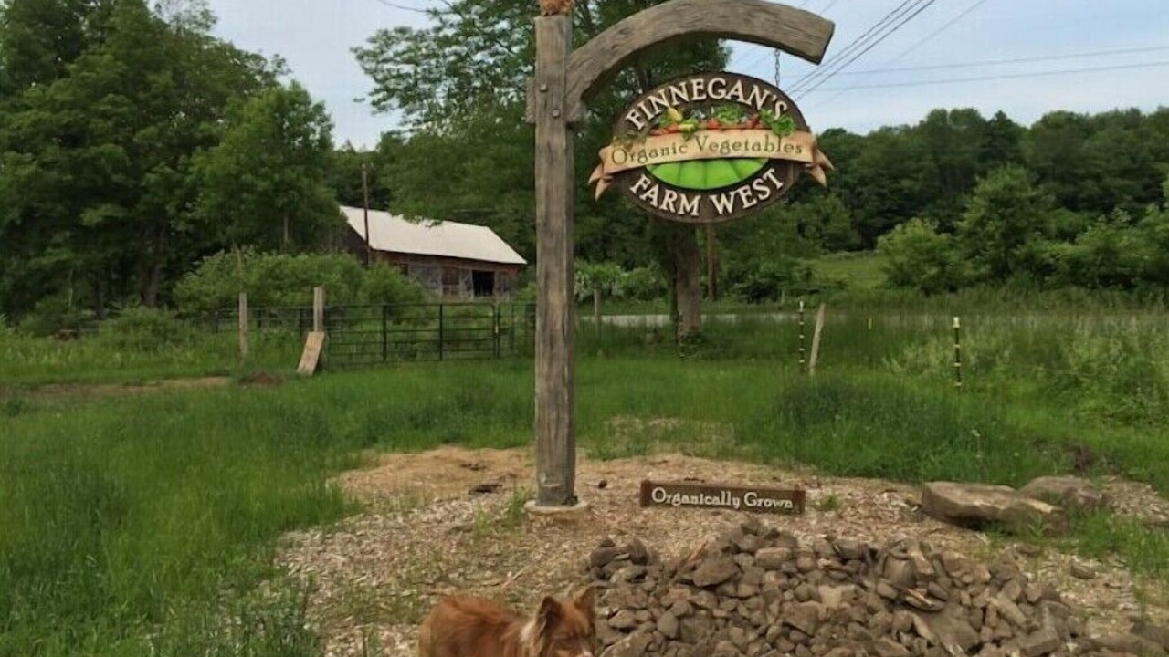 Photo of Outdoor in Marble Dale