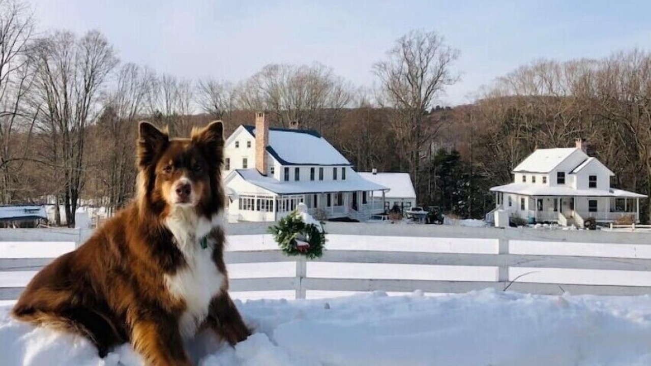 Photo of Others in Marble Dale