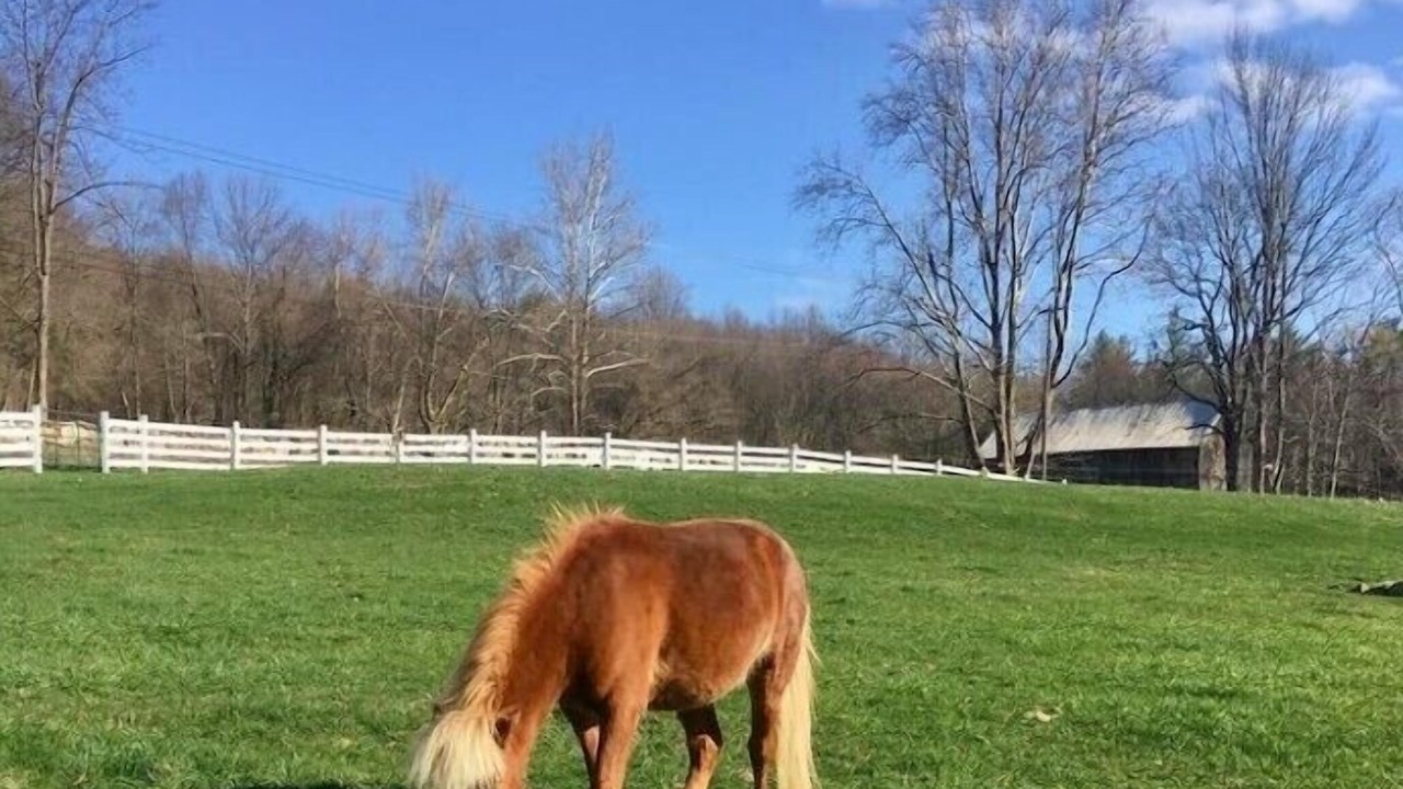 Photo of Others in Marble Dale