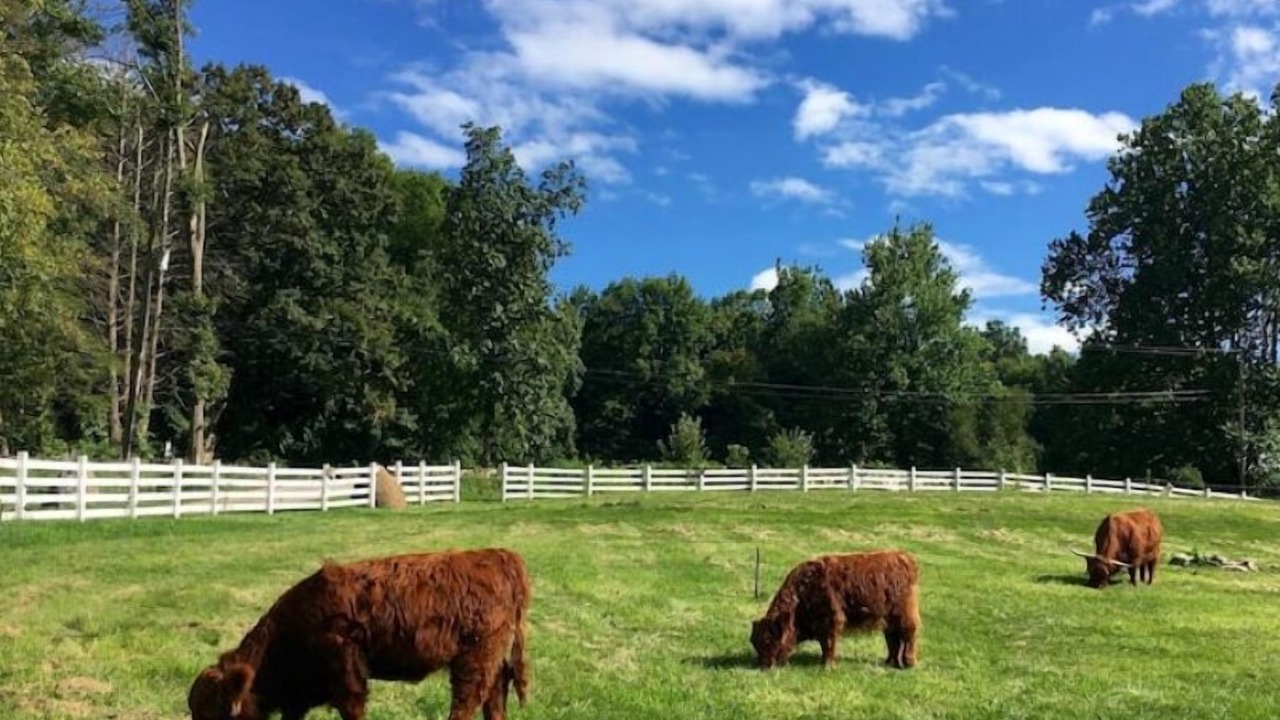 Photo of Others in Marble Dale