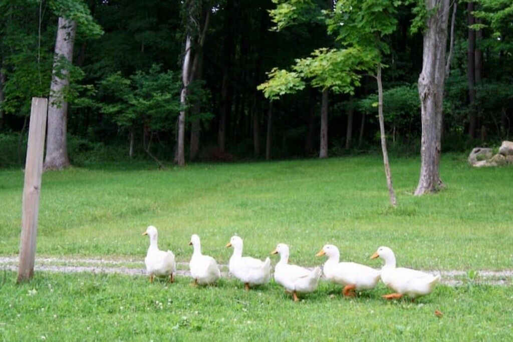 Photo of Outdoor in Marble Dale