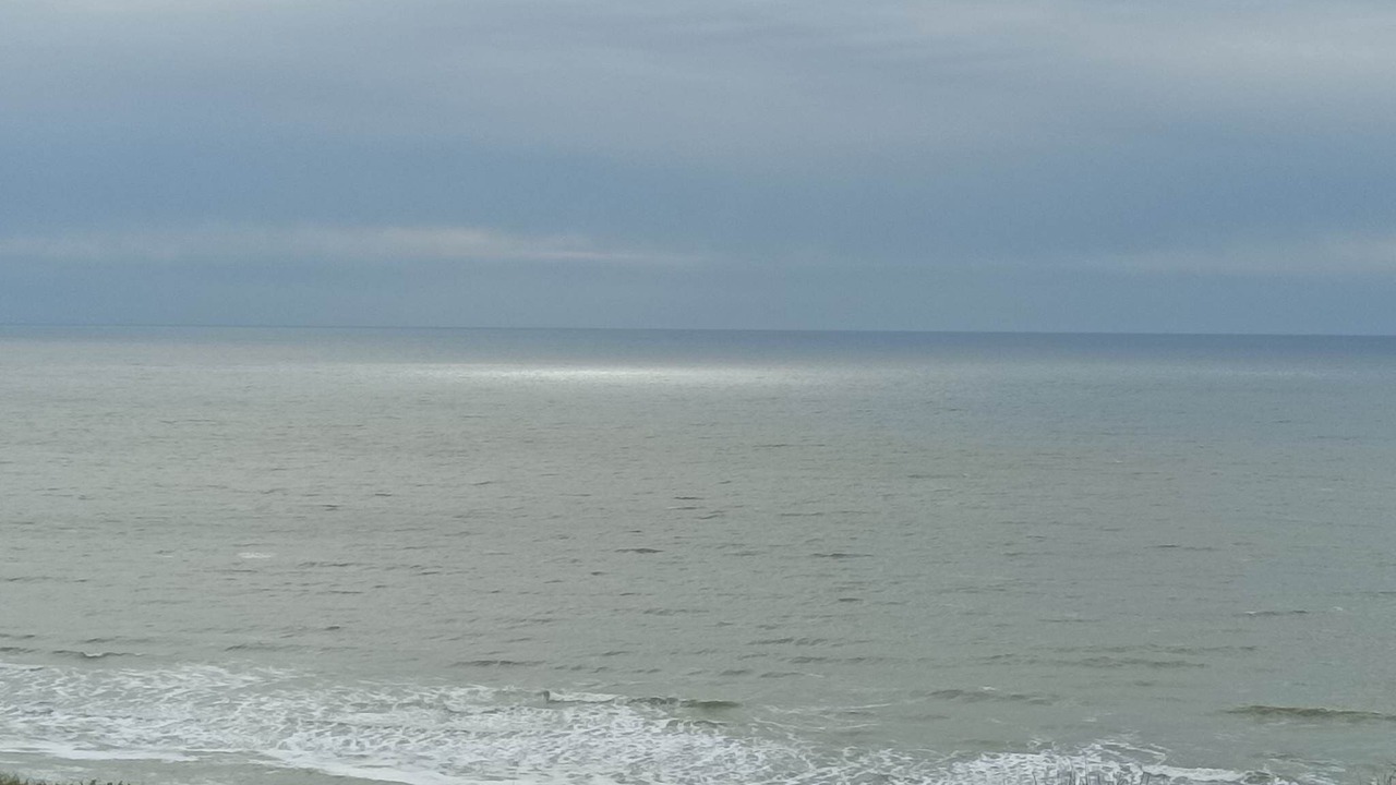 Photo of Others in Equihen-Plage