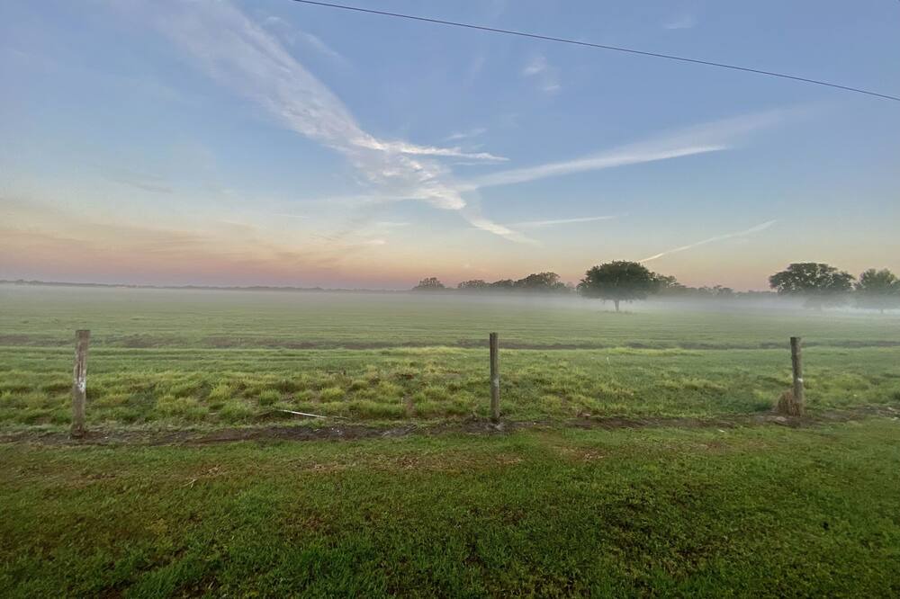 Photo of Outdoor in Arcadia
