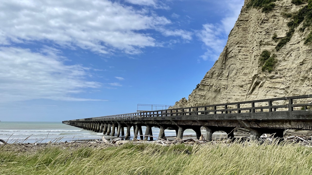 Photo of Others in Tolaga Bay