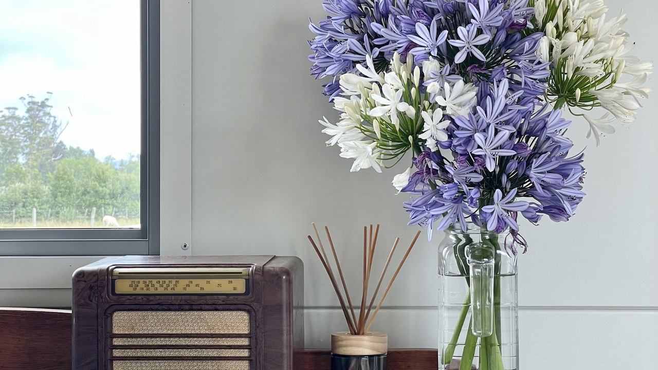 Photo of Others in Tolaga Bay