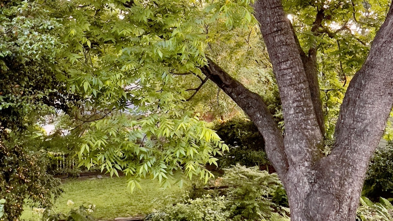 Photo of Outdoor in Danville