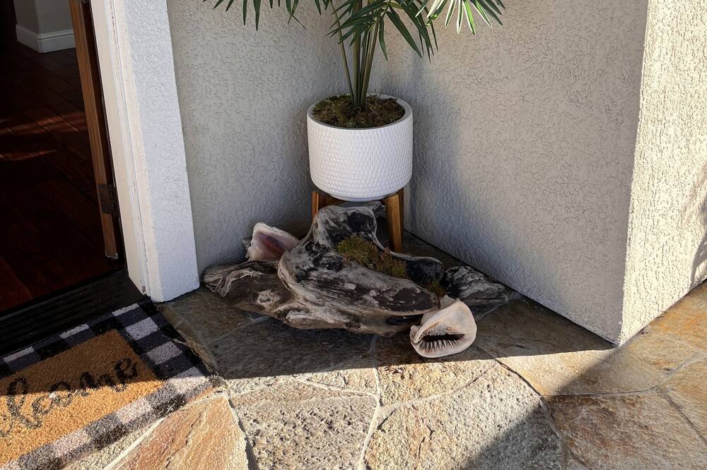 Photo of Outdoor in Napa
