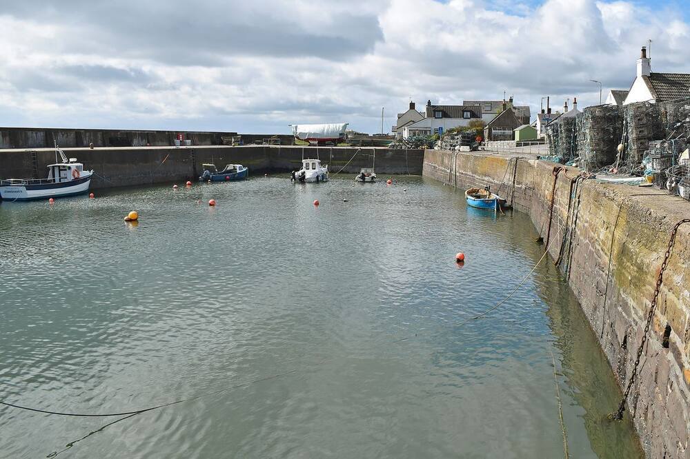 Photo of Others in Arbroath