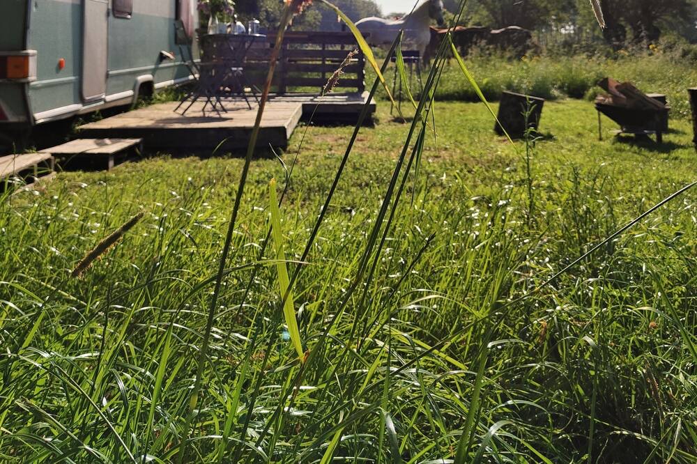 Photo of Outdoor in Cysoing
