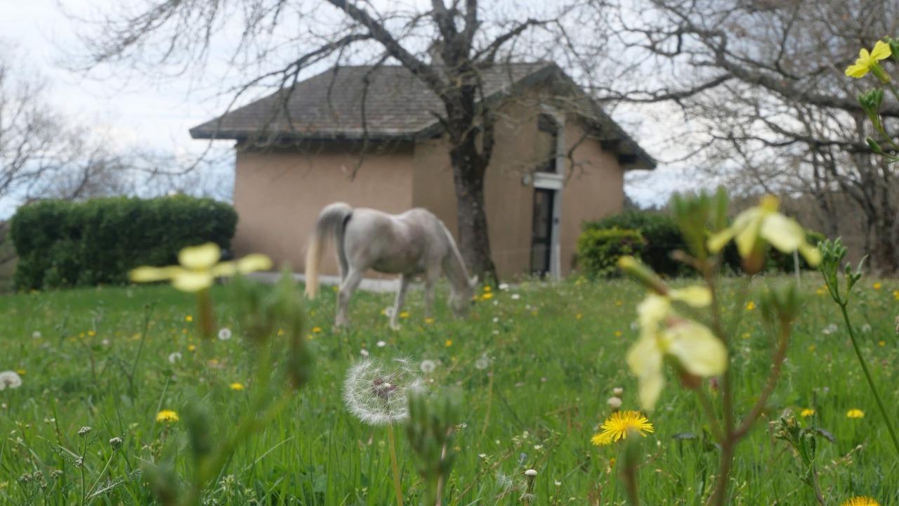 Photo of Outdoor in Cuxac-Cabardes