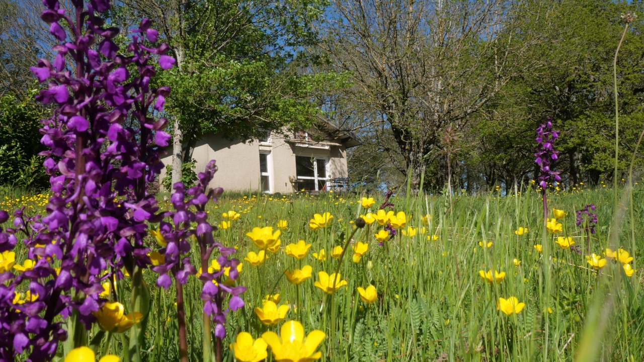 Photo of Outdoor in Cuxac-Cabardes