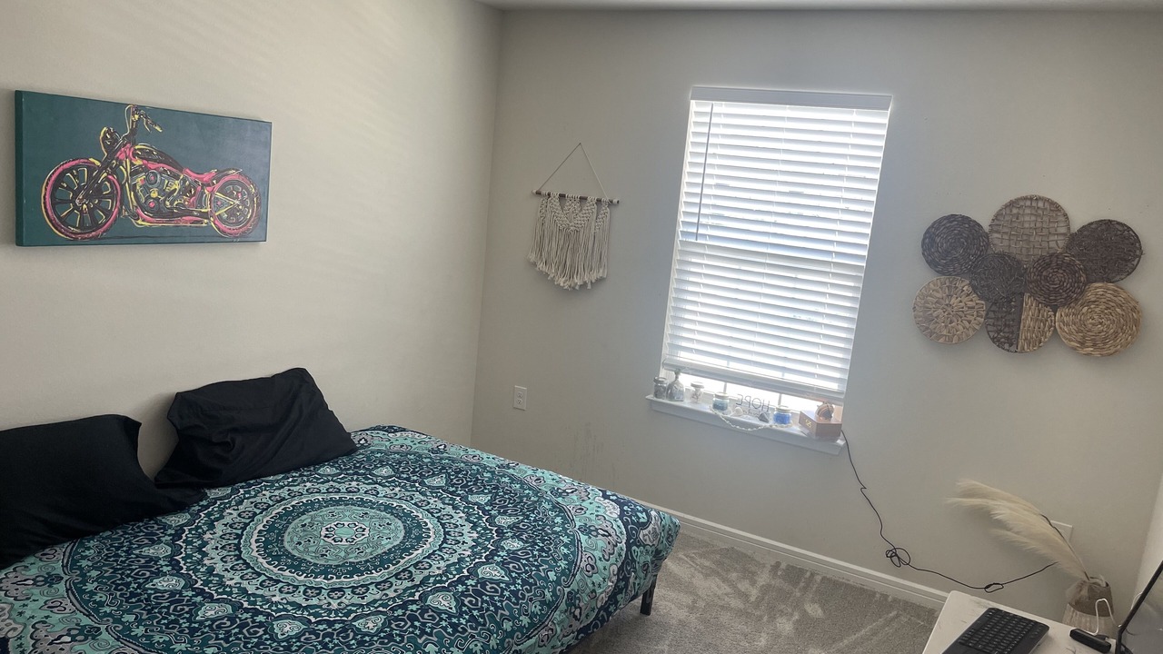Photo of Bedroom in Wesley Chapel