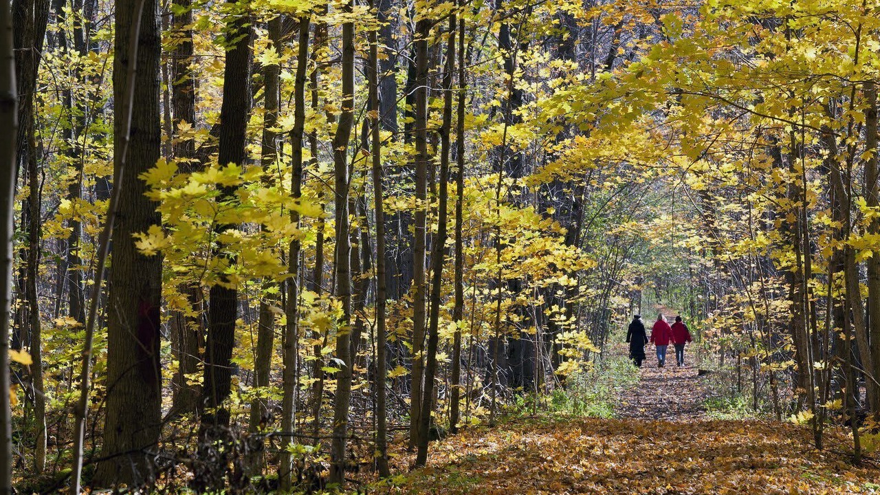 Photo of Outdoor in Saint-Laurent