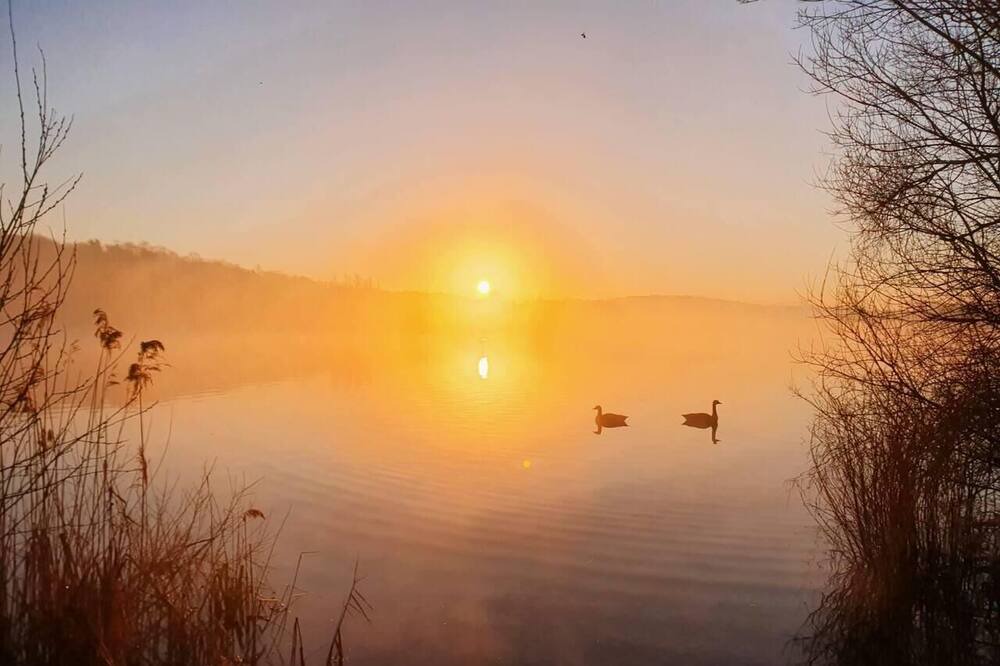 Photo of Others in Hoddesdon