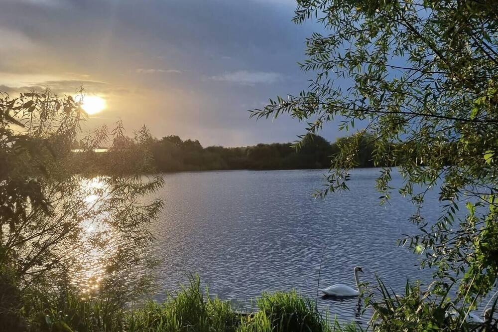 Photo of Others in Hoddesdon