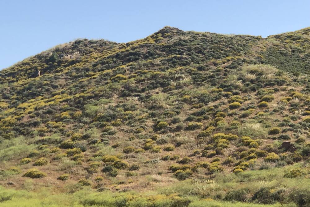 Photo of Others in Perris