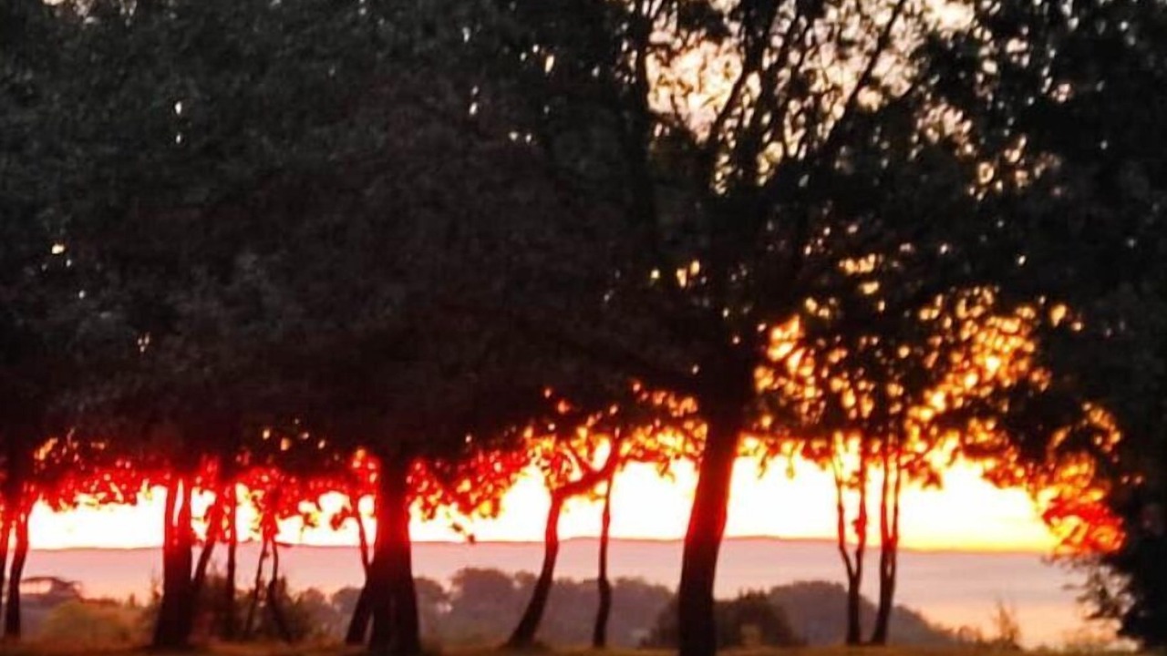 Photo of Others in Lamothe-Capdeville