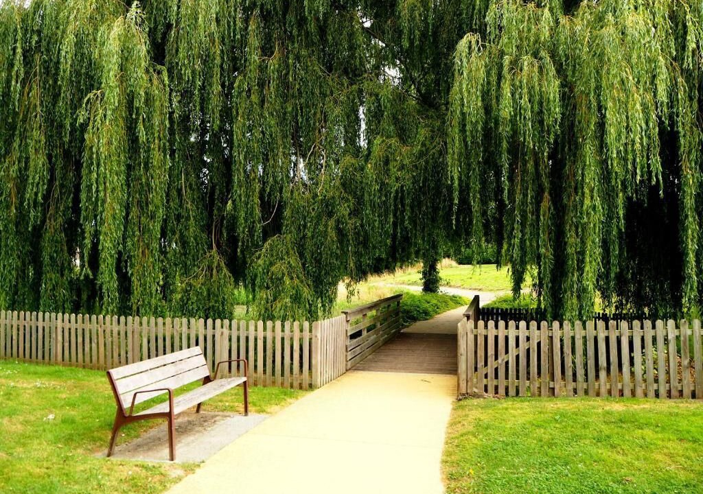 Photo of Outdoor in Douvres-la-Delivrande