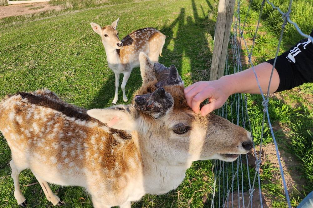 Photo of Others in Inglewood