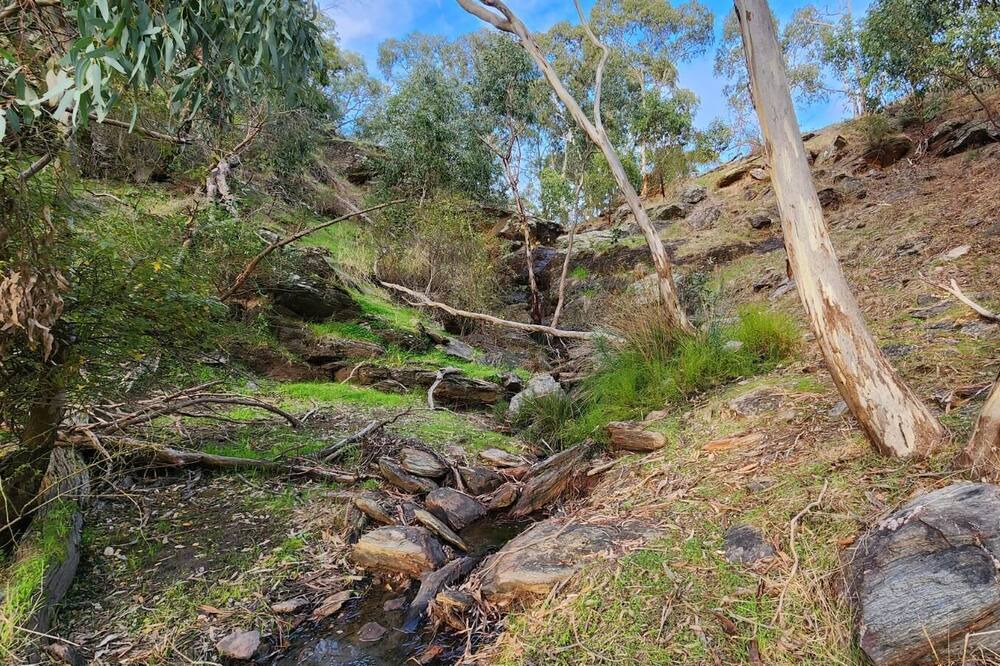 Photo of Others in Inglewood