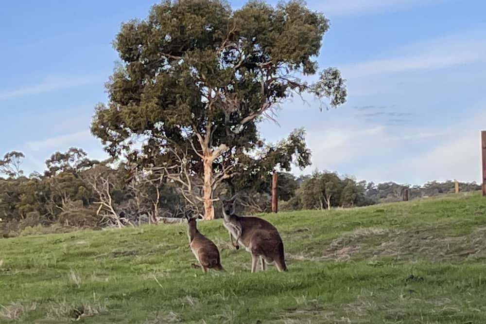 Photo of Others in Inglewood