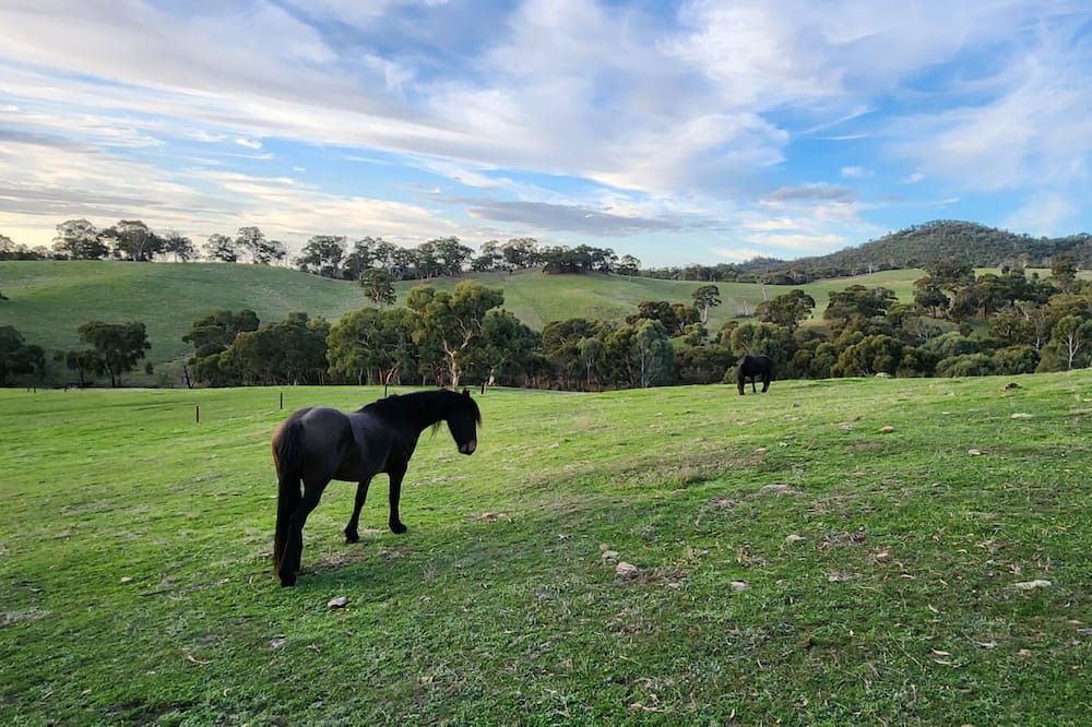 Photo of Others in Inglewood