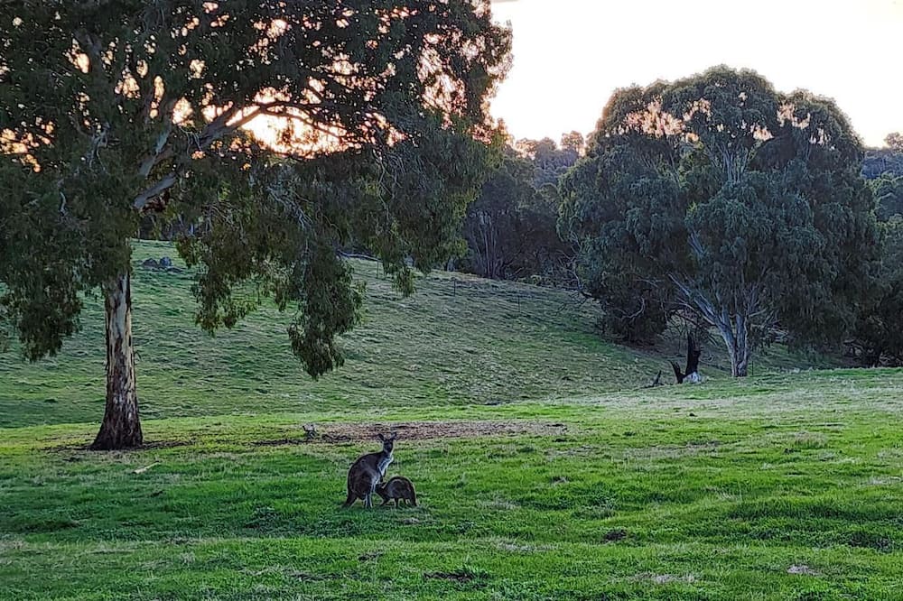 Photo of Others in Inglewood