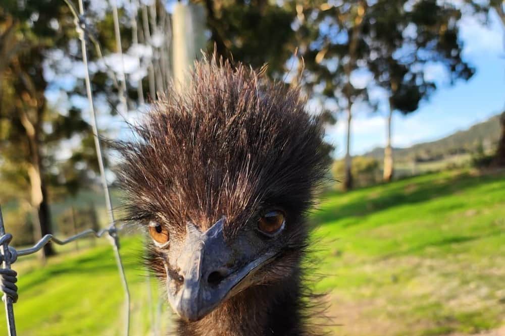 Photo of Others in Inglewood