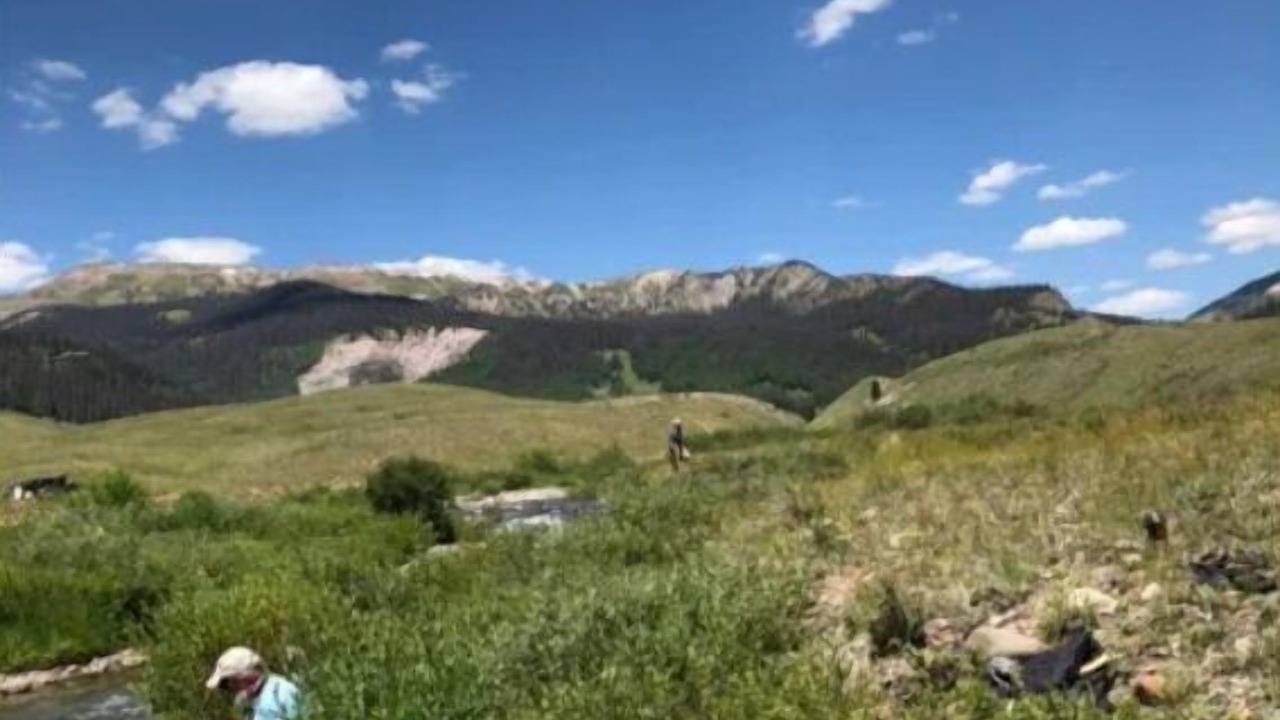 Photo of Others in Challis