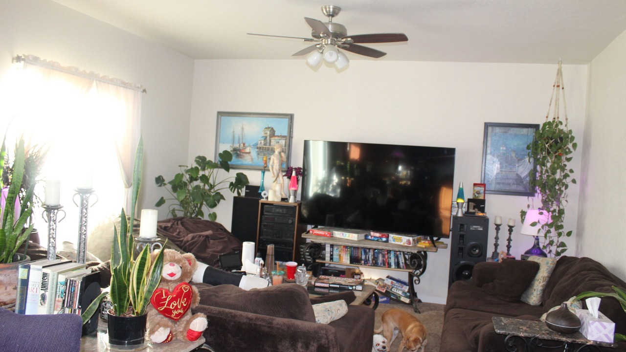 Photo of Others in Thornton