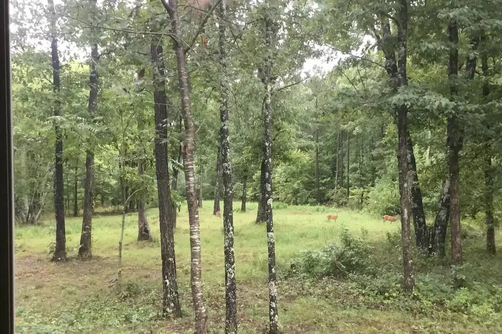 Photo of Outdoor in Ozone