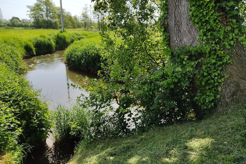 Photo of Outdoor in Le Hommet-d'Arthenay