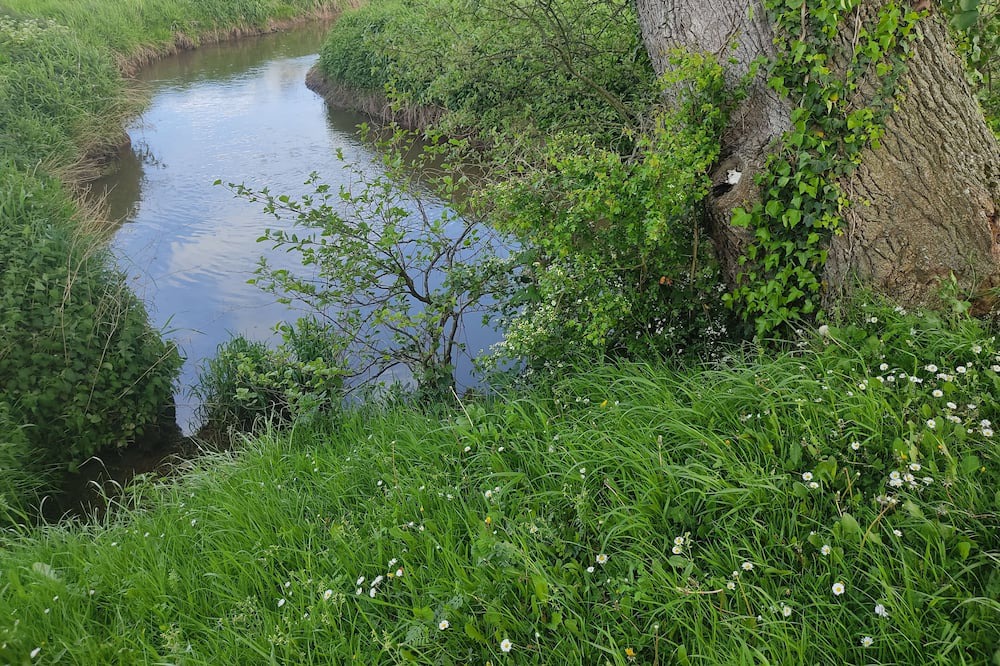 Photo of Outdoor in Le Hommet-d'Arthenay
