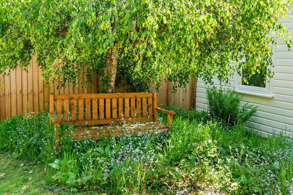 Photo of Outdoor in Kingston