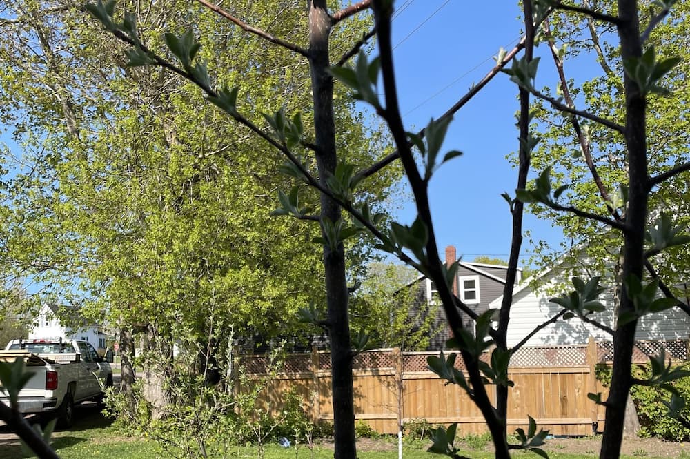 Photo of Others in Bouctouche