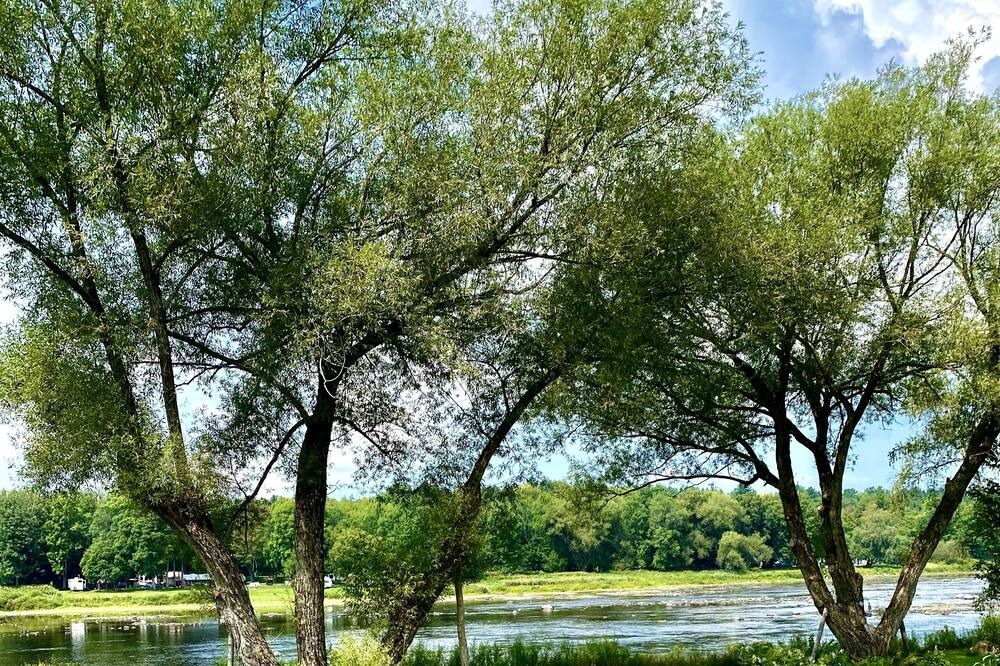 Photo of Outdoor in Saint-Nicephore