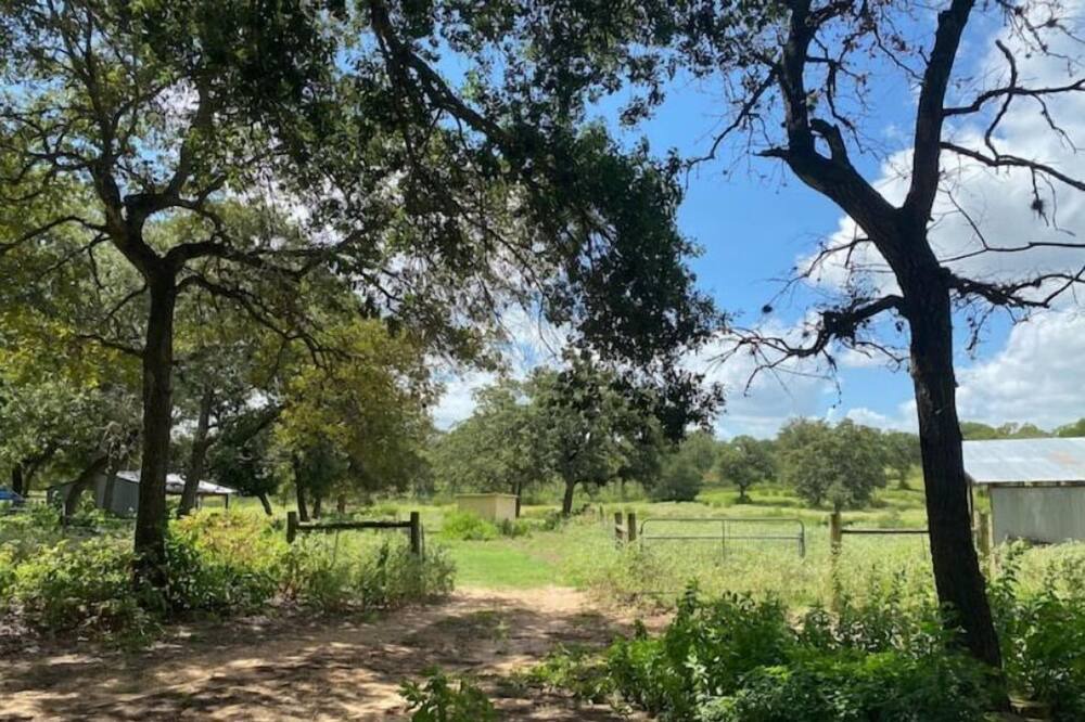 Photo of Outdoor in Prairie Lea