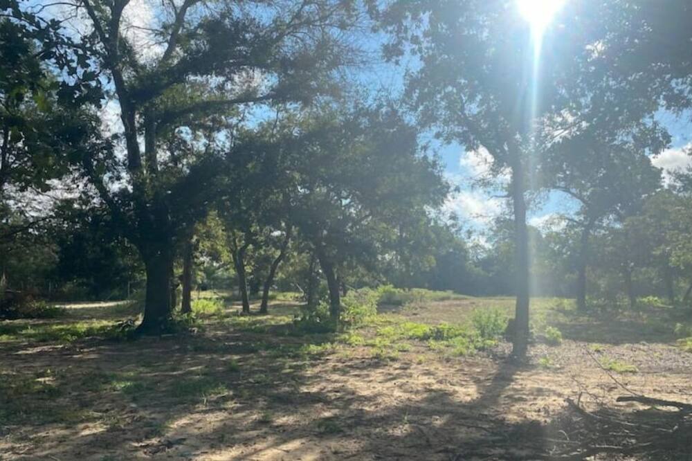 Photo of Outdoor in Prairie Lea