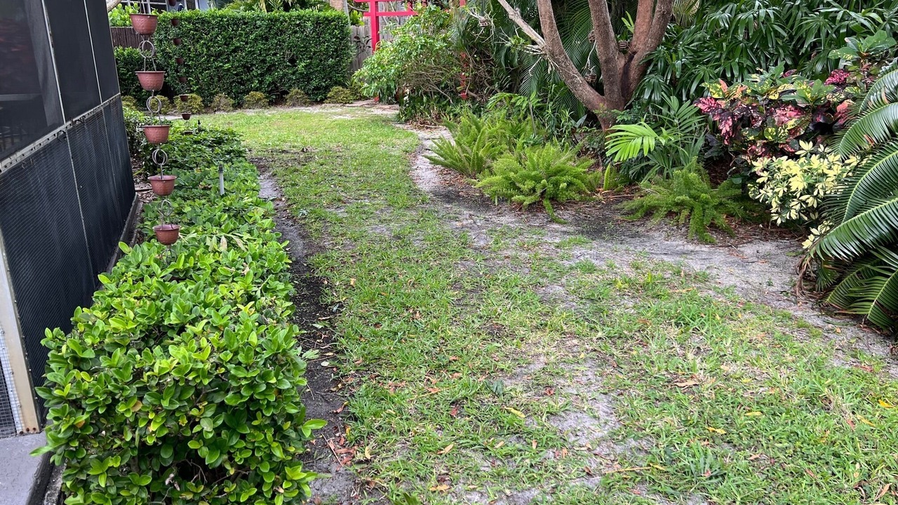 Photo of Outdoor in South Corals