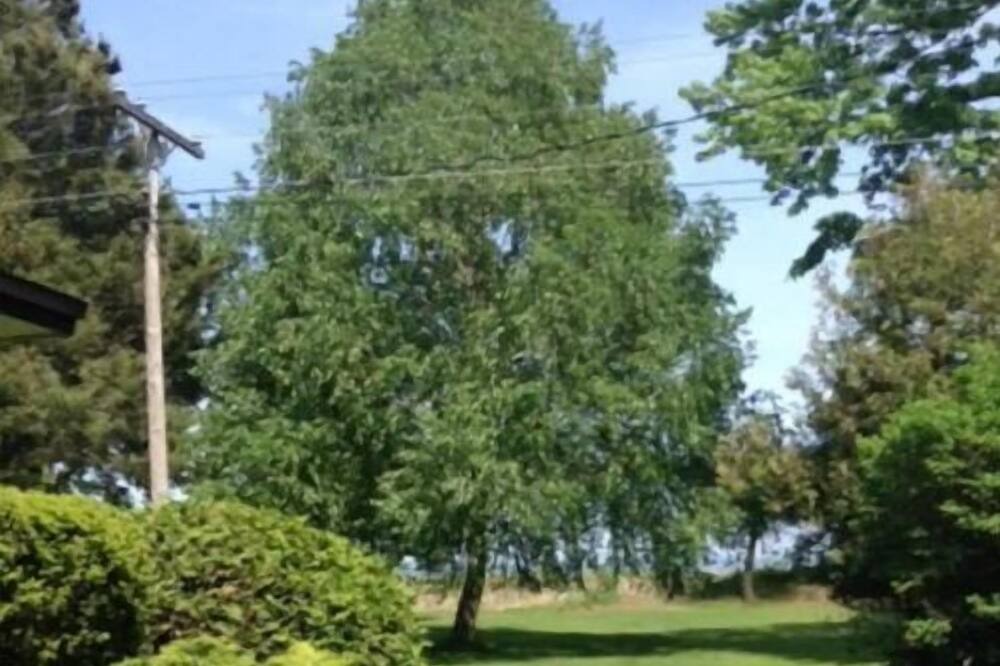 Photo of Outdoor in Turkey Point