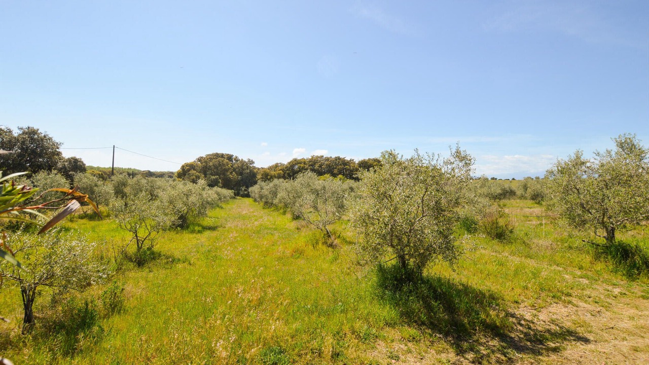 Photo of Others in Canale-di-Verde