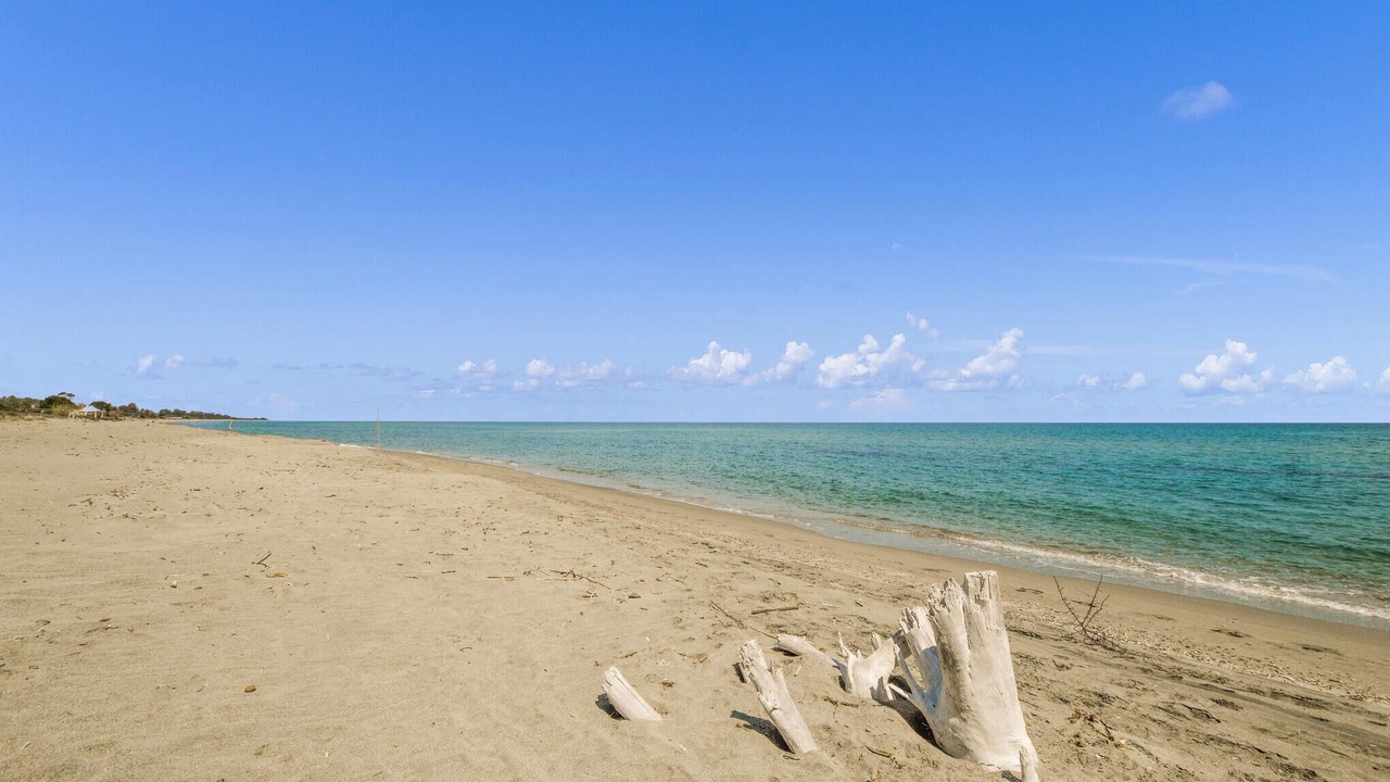 Photo of Others in Canale-di-Verde