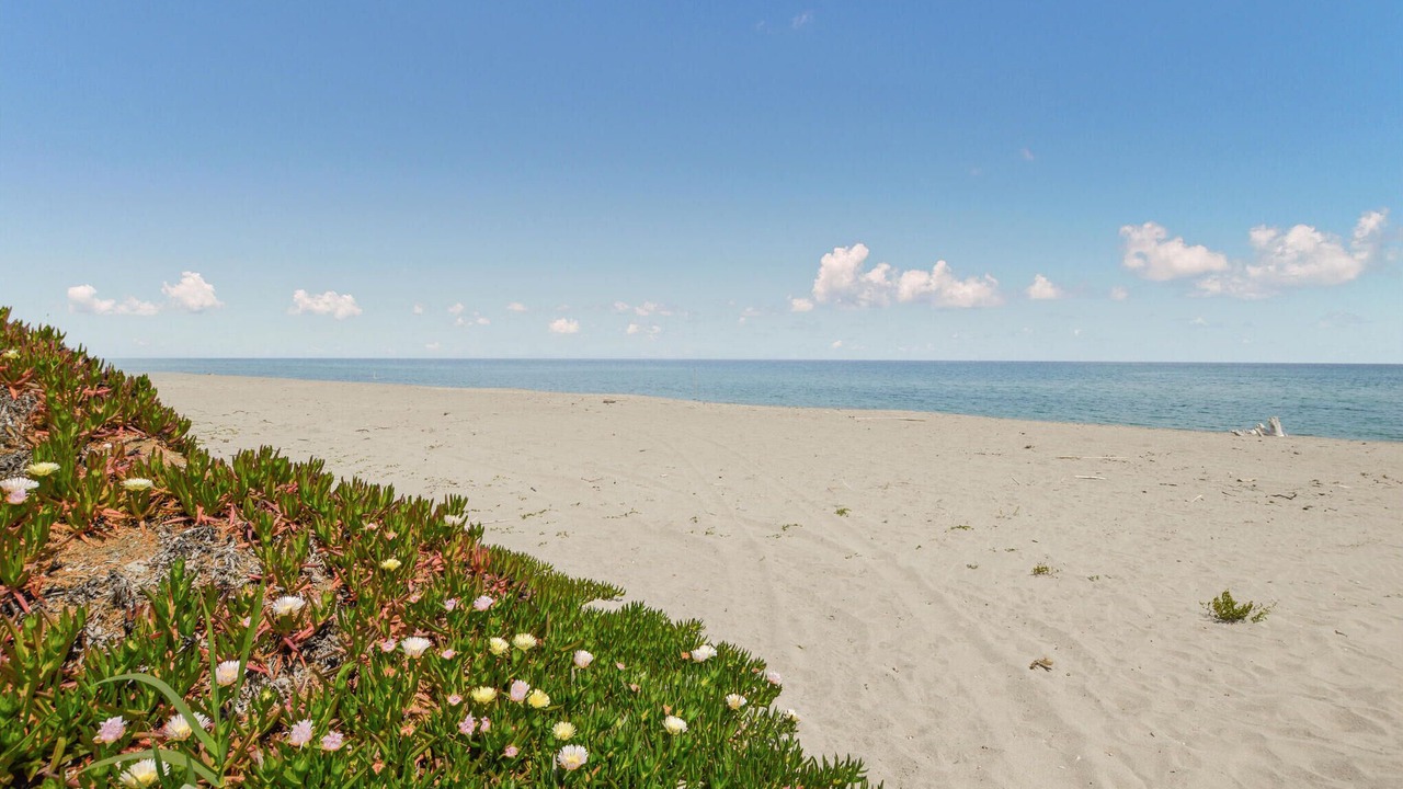 Photo of Others in Canale-di-Verde