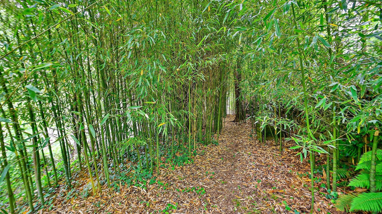 Photo of Outdoor in Valleraugue