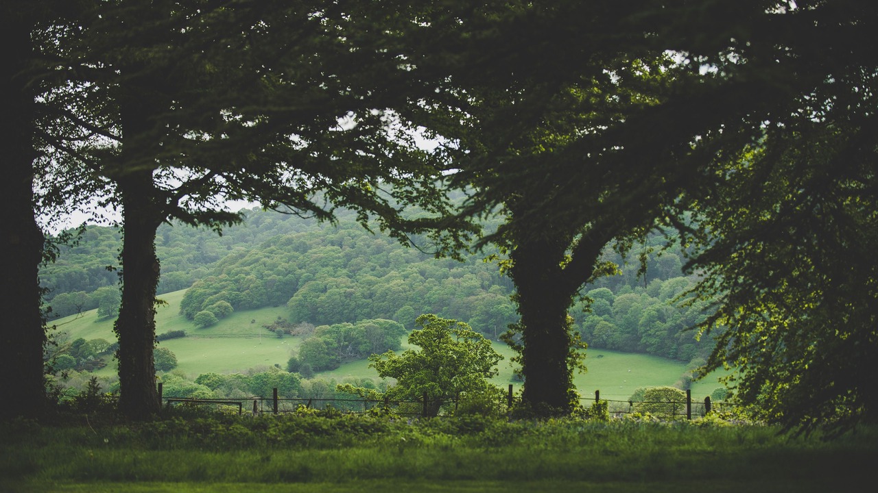 Photo of Outdoor in Conwy