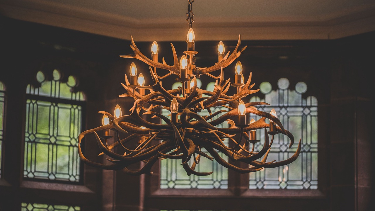 Photo of Others in Conwy